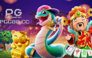 壹号下载app链接2024最新版